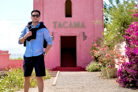 Visite de la cave Tacama - Tour Don Manuel avec dégustationVisite du vignoble Tacama - Don Manuel et dégustation