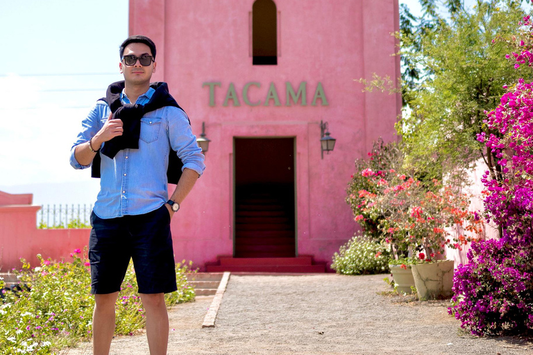 Visite de la cave Tacama - Tour Don Manuel avec dégustationVisite du vignoble Tacama - Don Manuel et dégustation