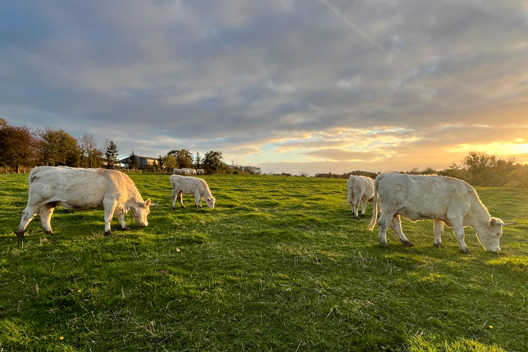 Le Havre: Normandy Villages, Cheese & Calvados Day Tour