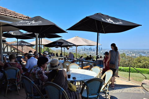 6 Hour Welcome to Brisbane Private Sightseeing Private Tour Brisbane City Pick-up & Drop-off