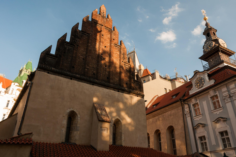 Prague Half Day Private Guided Tour by Car or Foot Walking tour - 4 hours