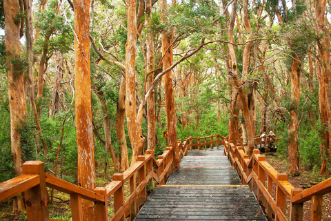 3-Day Bariloche with Optional Airfare from Buenos Aires Airfare Included