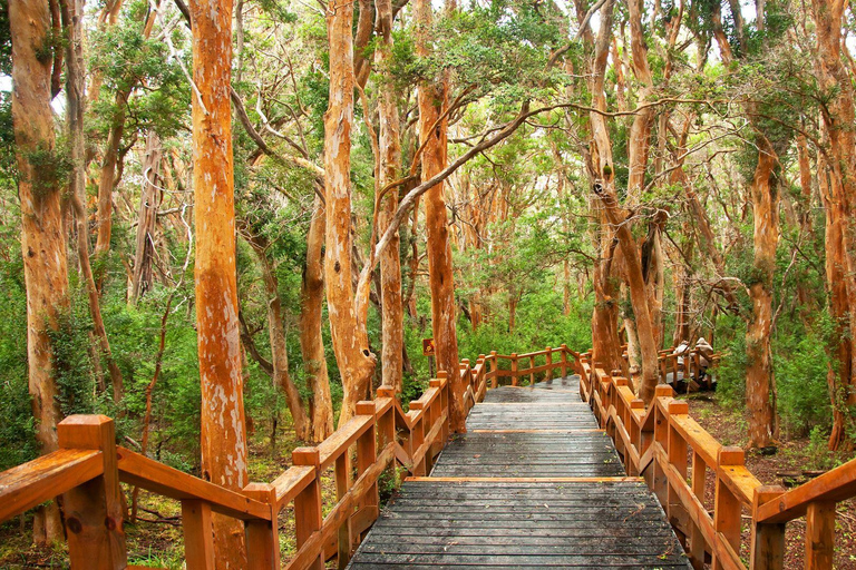 3-Day Bariloche with Optional Airfare from Buenos Aires Airfare Included