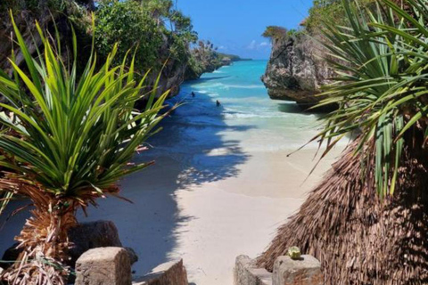 Zanzibar: las Jozani, centrum motyli i wycieczka na plażę MtendeOdbiór z miejsca zakwaterowania nie jest wliczony w cenę.