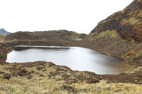 Papallacta: Caminata Ruta del Agua y vida