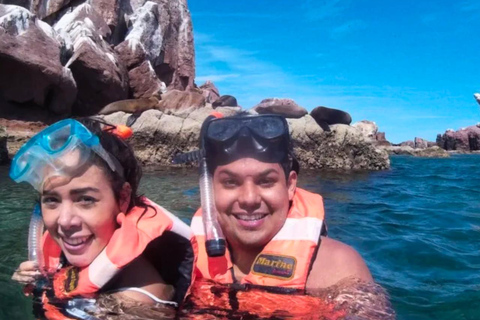 From La Paz: Espíritu Santo Island Tour all inclusive From La Paz: Espíritu Santo Island Tour