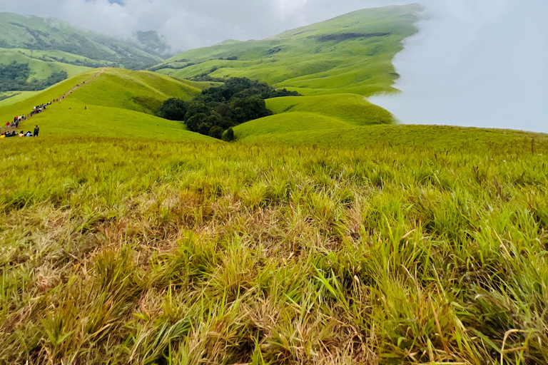 卡纳塔克邦：西高止山脉徒步探险