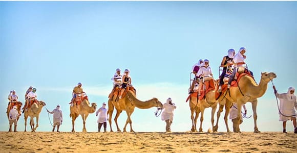 Los Cabos: Desert & Sea Camel Safari Tour with Lunch