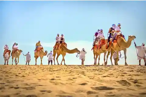 Los Cabos: Safari de Camelo no Deserto e no Mar com Almoço