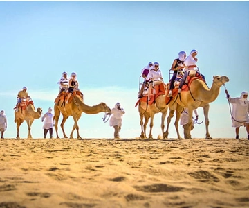 Los Cabos: Desert & Sea Camel Safari Tour with Lunch