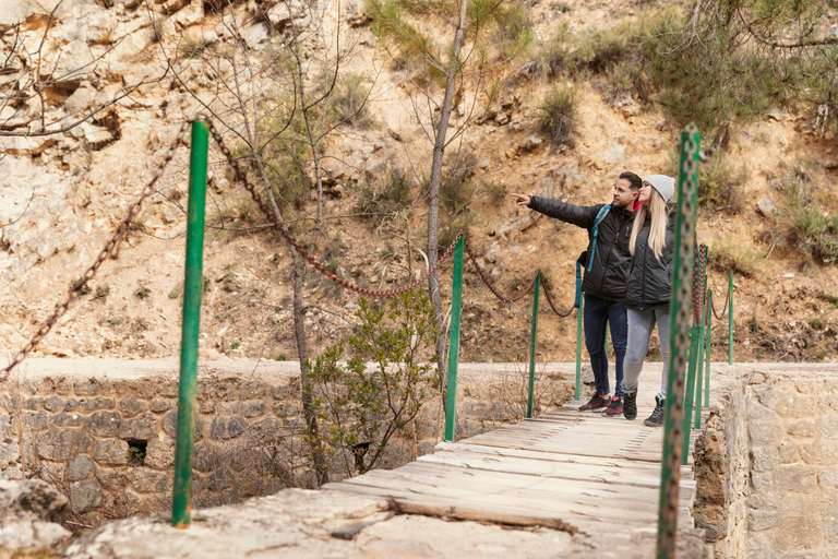 From Malaga and Costa del Sol: Excursion to Caminito del Rey English Tour