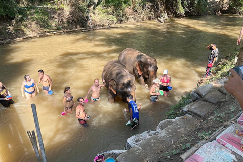 مغامرة لمدة 2-3 أيام في شيانغ ماي: قبائل التلال والفيلة والنهر2 أيام 1 ليلة واحدة: الحياة المحلية ورعا