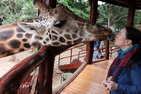 Nairobi Tagestour, Elefantenwaisenhaus und Giraffenzentrum