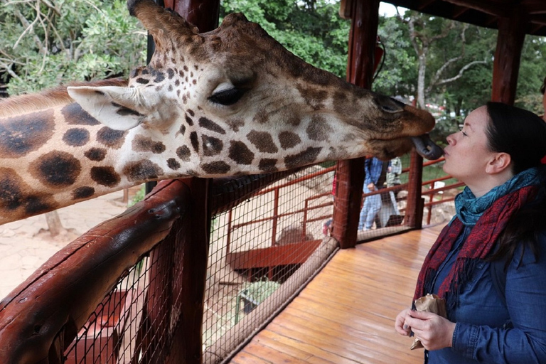 Nairobi Tagestour, Elefantenwaisenhaus und Giraffenzentrum