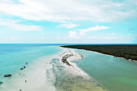 Ab Riviera Maya: Holbox Ganztagestour mit Mittagessen