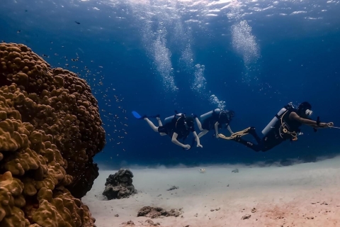Explore Scuba diving at Racha Yai Island Phuket - Premium Discover Scuba Diving at Racha Yai from Phuket - Premium