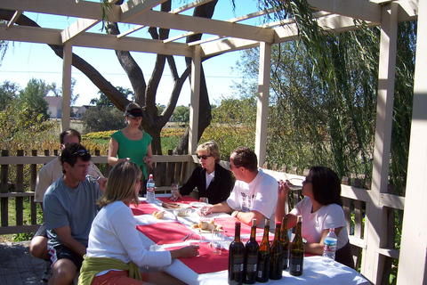 Los Olivos: Excursión en E-Bike + Comida en el Viñedo con Degustación de Vinos