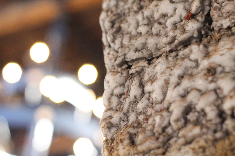 Bogotá: Private Tour Salt Cathedral & Salt Ovens