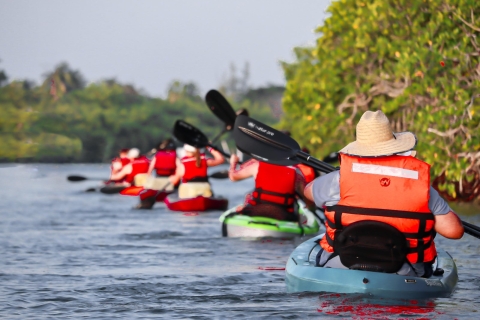 Cancún : aventure en kayak au lever du soleil