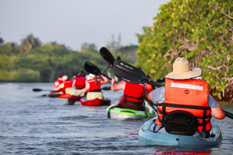 Cancun: Sunrise Kayak Adventure