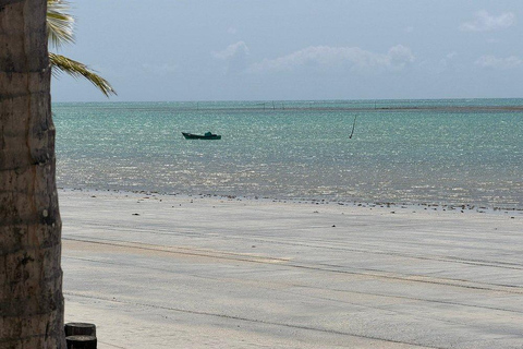 Maceió: Private Excursion to Guarda Rios with Exclusive Van