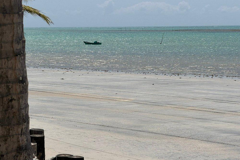 Maceió: Private Excursion to Guarda Rios with Exclusive Van