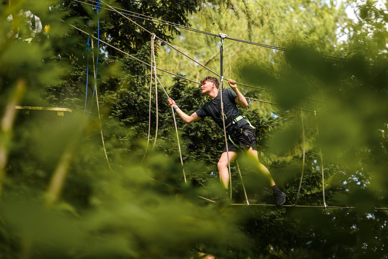 Windermere: Treetop Course (Full Trek)