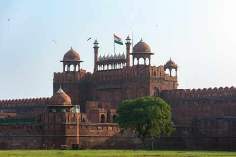 Private Full Day City Tour of Old and New DelhiFull Day Old and New Delhi City Tour ( Car + Guide )