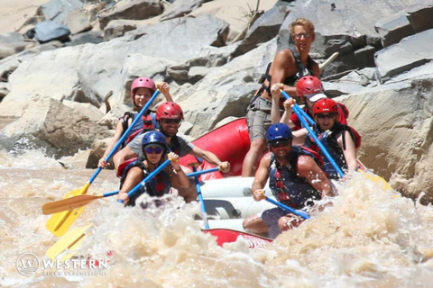 Cañón Westwater: Aventura de rafting en aguas bravas de un día completoSin servicio de recogida