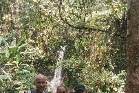 From Jakarta: 2-Day Bogor: Java Gibbon and Sunrise Tour