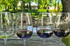 Stellenbosch, Franschhoek und Babylonstoren Weintour