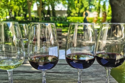 Stellenbosch, Franschhoek and Babylonstoren Wine Tour