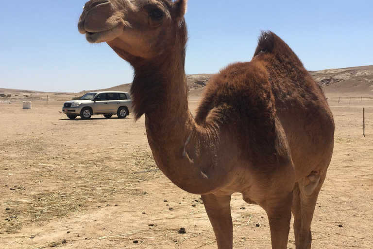 Sands &amp; Scents of the Empty Quarter: A Frankincense Odyssey