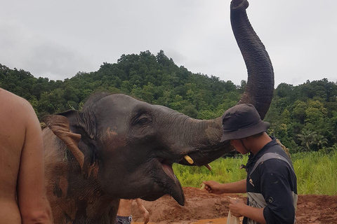 Chiang Mai: Doi Inthanon Park Vandring &amp; Elefanternas fristadChiang Mai: Doi Inthanon nationalpark &amp; elefanternas fristad