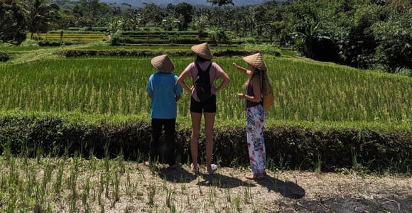 Tetebatu: Black Monkey Forest, Rice Terrace & Waterfall Tour