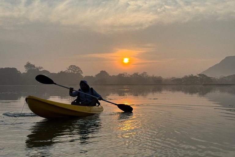 Sigiriya: Birdwatching Kayak Tour with Guide