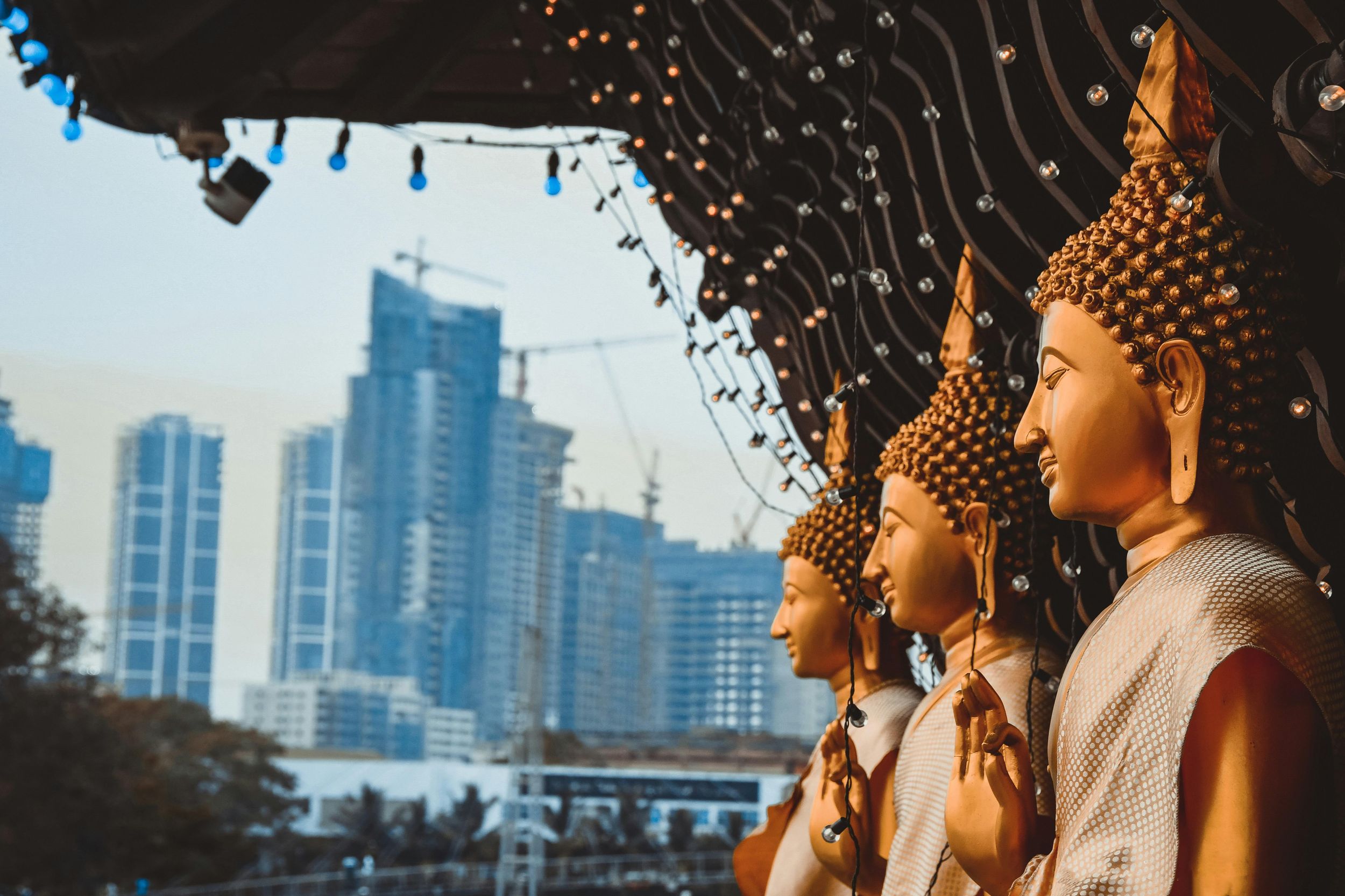 Negombo & Colombo: Ganztägige Tour mit Mittagessen