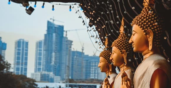 Negombo & Colombo: Ganztägige Tour mit Mittagessen