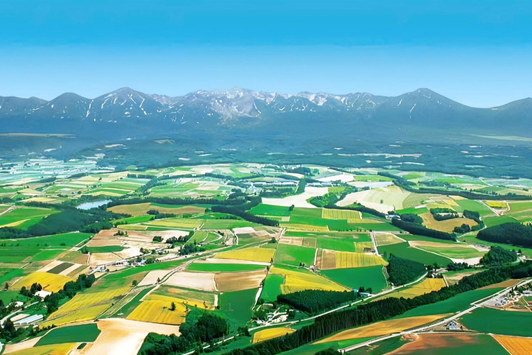 Hokkaido Summer Day Trip: Patchwork Road&Shikisai no Okas Depart from Sapporo Tokyu REI Hotel (without lunch)