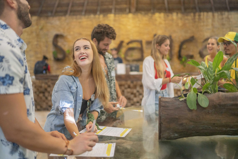 Cancun: ATV, Ziplines and Cenote Adventure in the Jungle Jungle Adventure: ATV, Ziplining & Cenote