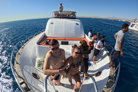 Hurghada: Dolphin House Morning Cruise & Swim with Dolphins Hurghada: Dolphin House Cruise/Swim with Dolphins