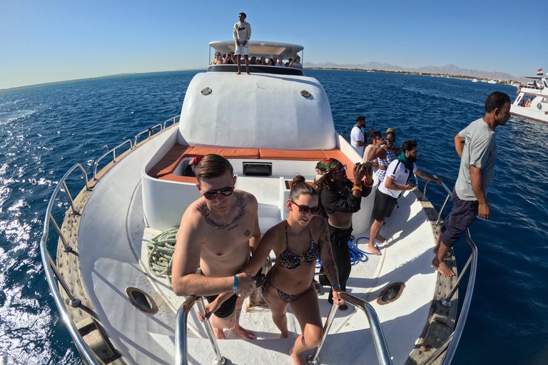 Hurghada: Dolphin House Morning Cruise & Swim with Dolphins Hurghada: Dolphin House Cruise/Swim with Dolphins