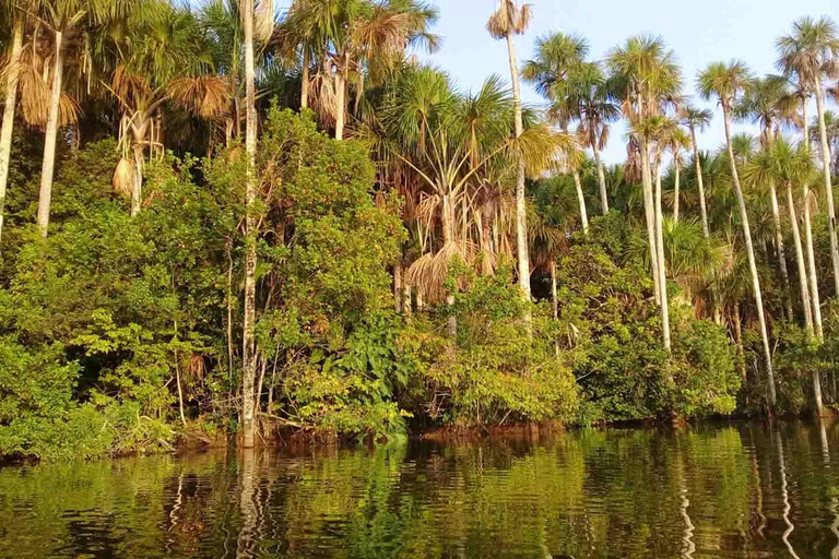 EXCURSÃO AOS MAMÍFEROS DE CANDAMO (5 DIAS - 4 NOITES)