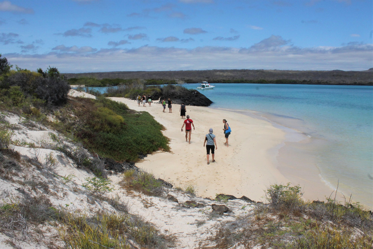 GALÁPAGOS: Island hopping trip, including Quito 12 days GALÁPAGOS: Island Hopping Tour, including Quito 12 days