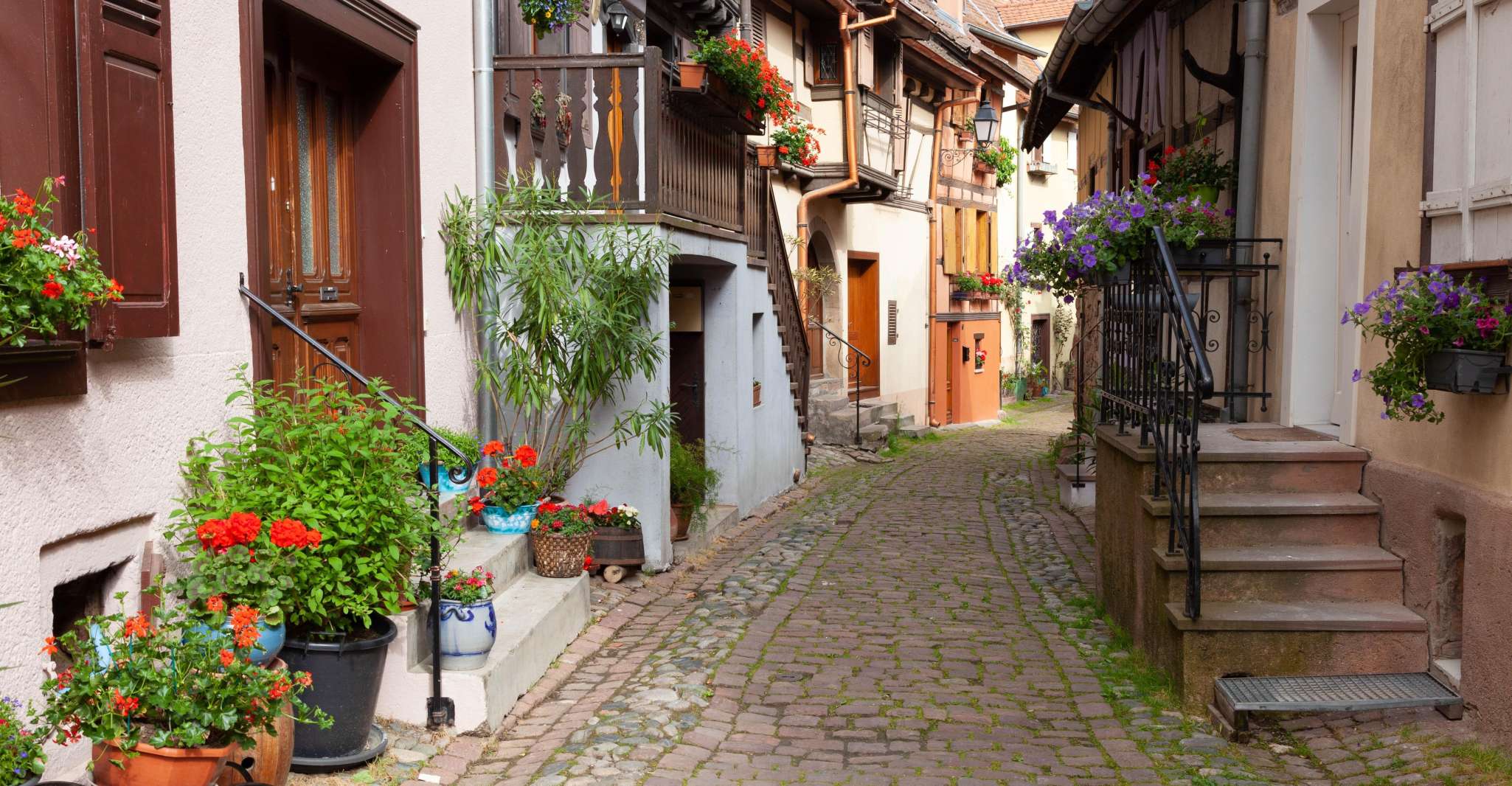 Colmar, Kaysersberg, Riquewihr , Excursion de Strasbourg - Housity