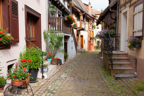 Vanuit Straatsburg: Dagtrip Colmar, Riquewihr &amp; Eguisheim