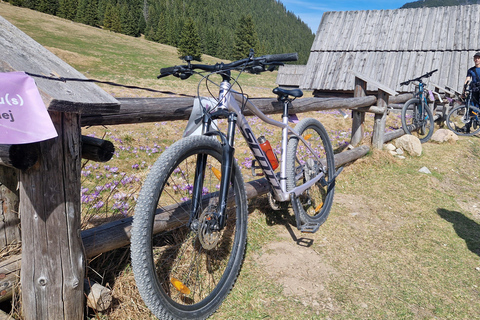Zakopane: Chochołowska Valley Bike Tour with Transfer