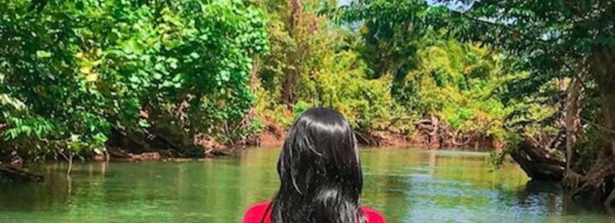 Dominique : Découverte d'Indian River et escale à la plage