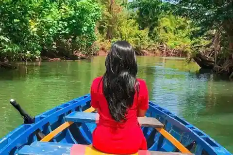 Dominica: Indian River Discovery & Beach Stop Tour