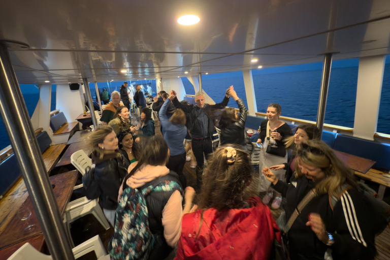 Lárnaca: crucero con fiesta al atardecerLarnaca: Crucero con fiesta al atardecer